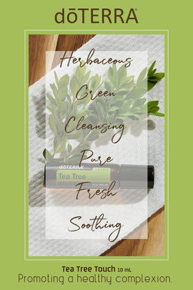 doTERRA Melaleuca Touch texture on skin showing quick absorption benefit
