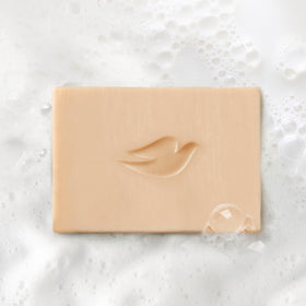 Dove bar on shower shelf suggesting a fragrant, elevated shower