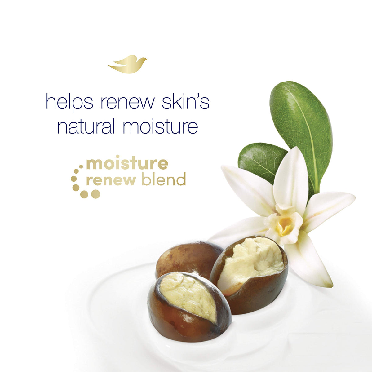 Creamy Dove lather close-up showing rich texture and nourishing foam