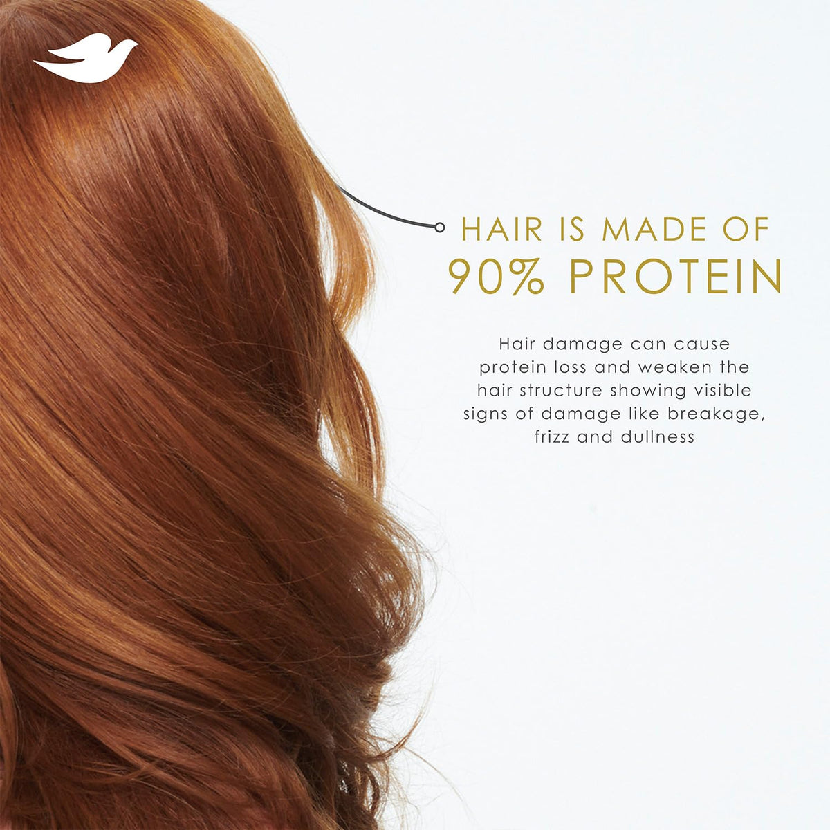 Dove in-shower use on wet hair illustrating lift and manageability