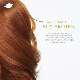 Dove mask and serum beside shampoo illustrating weekly and styling steps