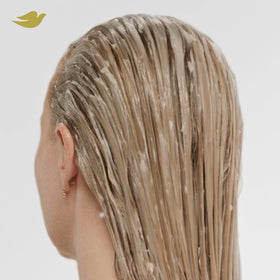 Dove shampoo lather on palm showing gentle cleansing action