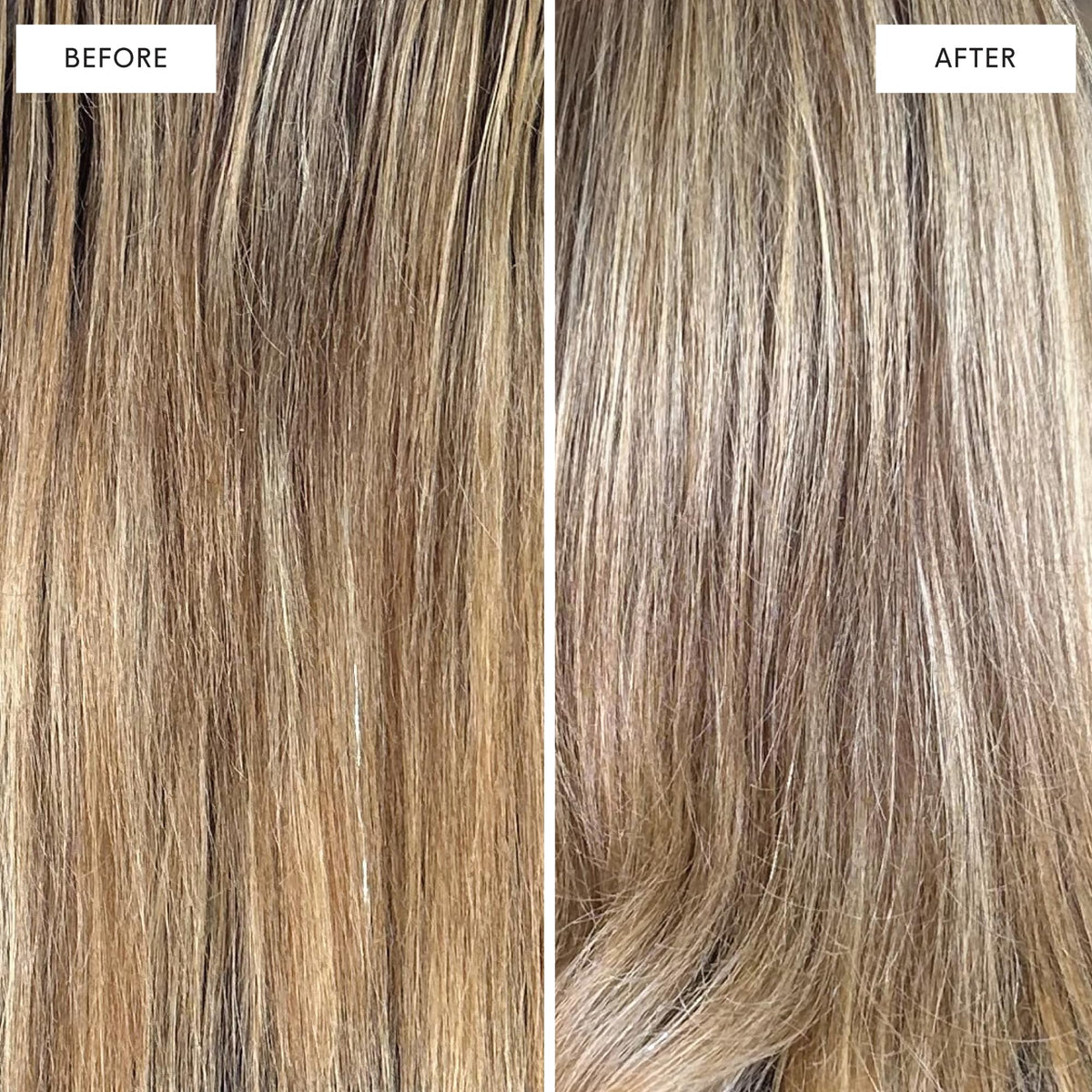 dpHUE shampoo lather close-up demonstrating violet pigment coverage