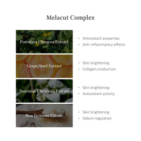 Dr.Althea ingredient label highlighting MELACUT complex and Zinc PCA benefits