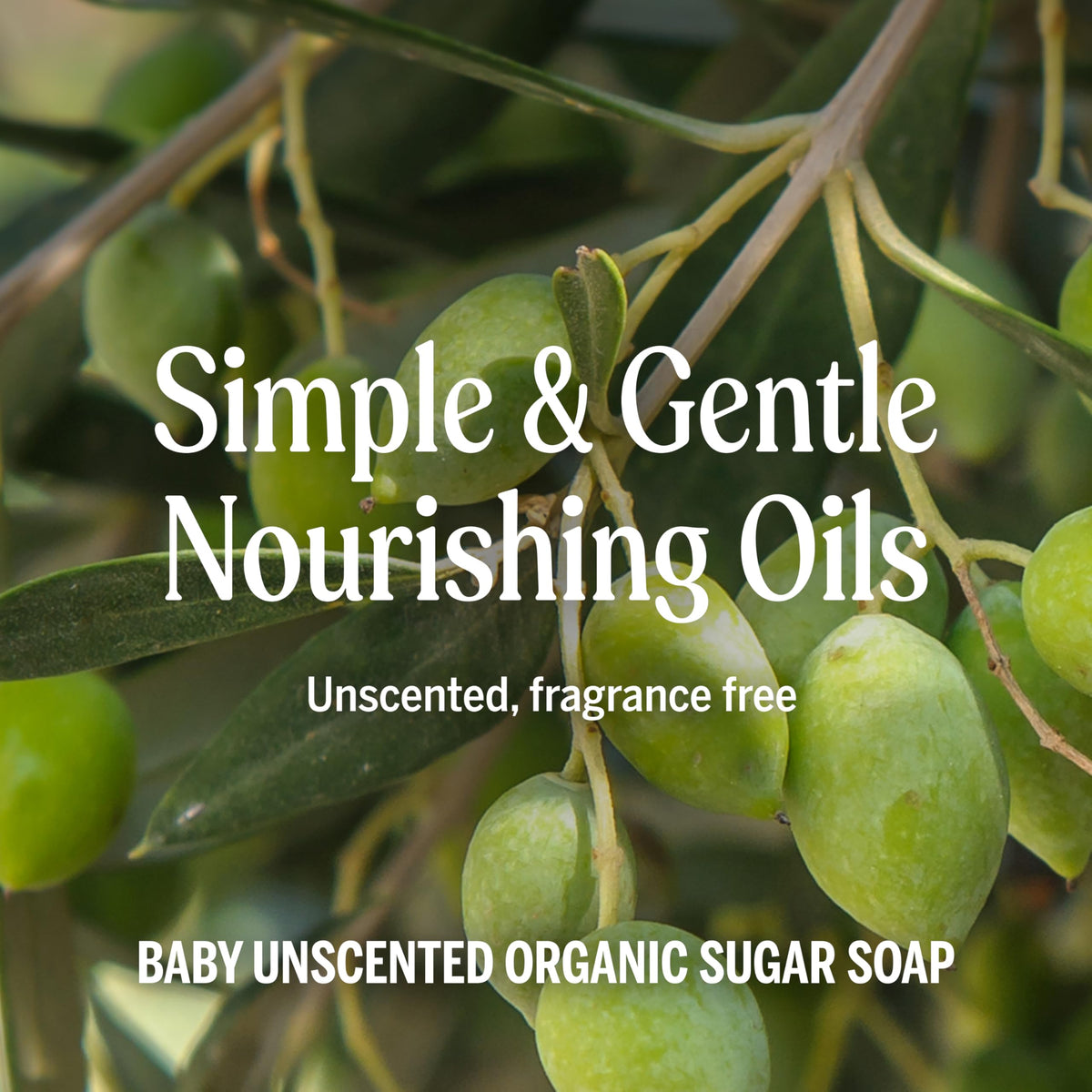 Shikakai powder ingredient with Dr. Bronner's emphasizing natural conditioning
