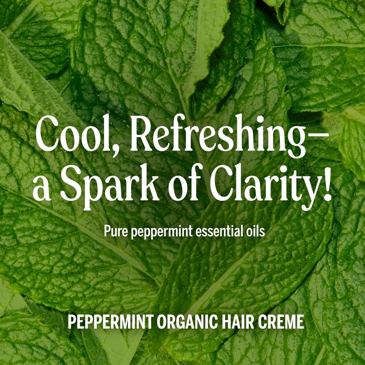 Dr. Bronner's tube next to peppermint leaves showing natural scent and freshness