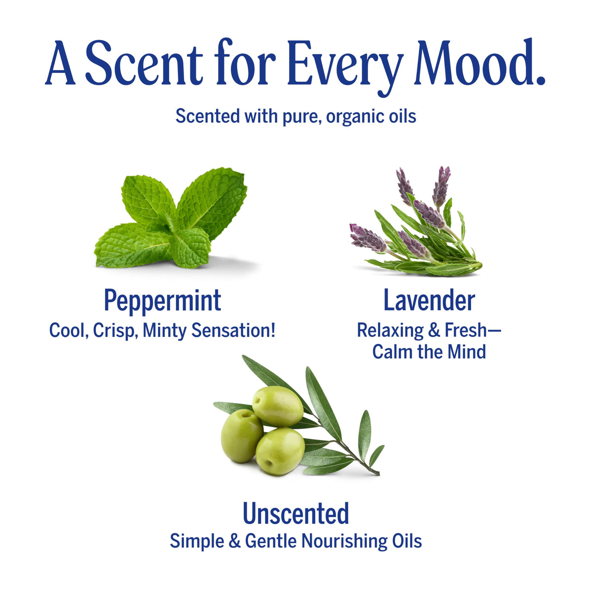 Dr. Bronner's rich lather in shower demonstrating effective rinsing