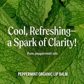 Dr. Bronner's open tube top view showing balm surface and easy twist-up use