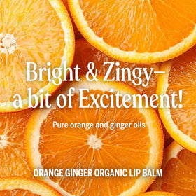 dr. bronner's six-pack laid out to show quantity and consistent orange ginger branding for convenience