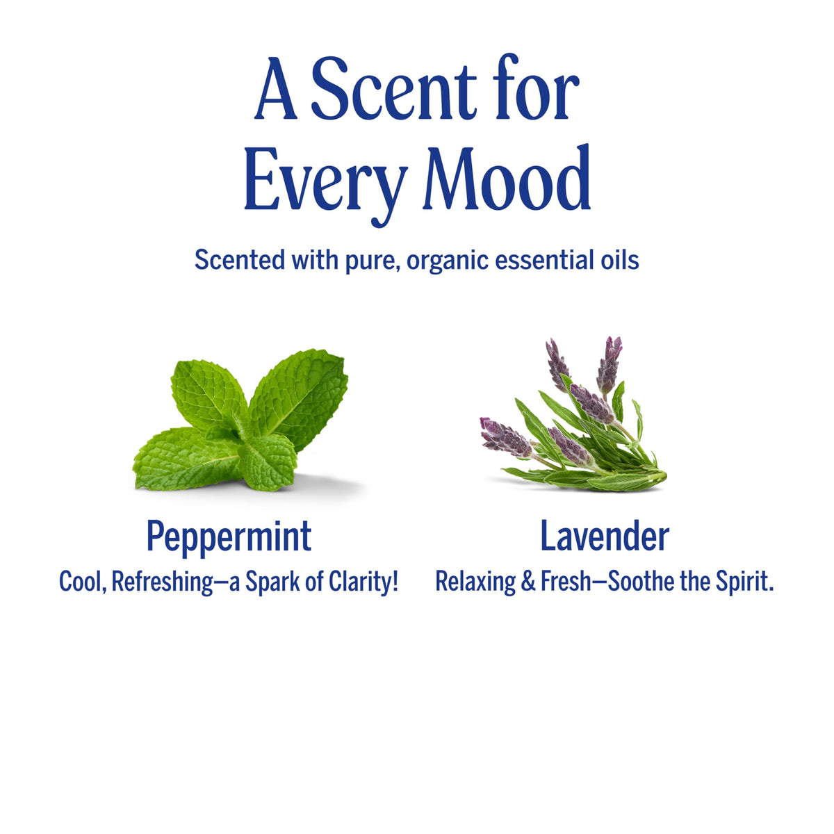 Dr. Bronner's peppermint cream applied in hand for easy styling