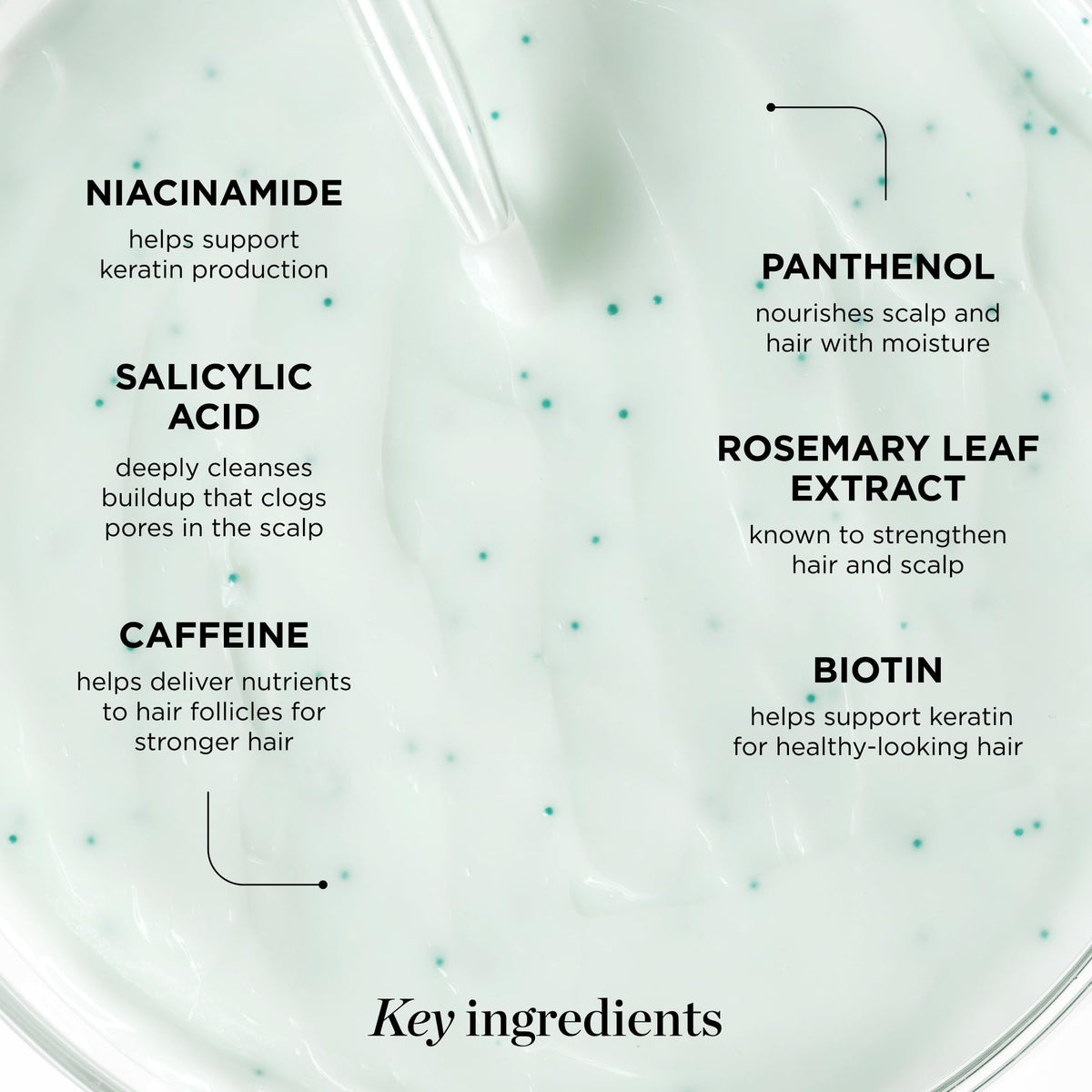 Dr. Groot rosemary capsules detail highlighting botanical nourishment