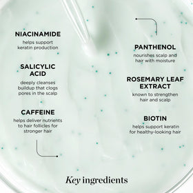 Dr. Groot rosemary capsules detail highlighting botanical nourishment