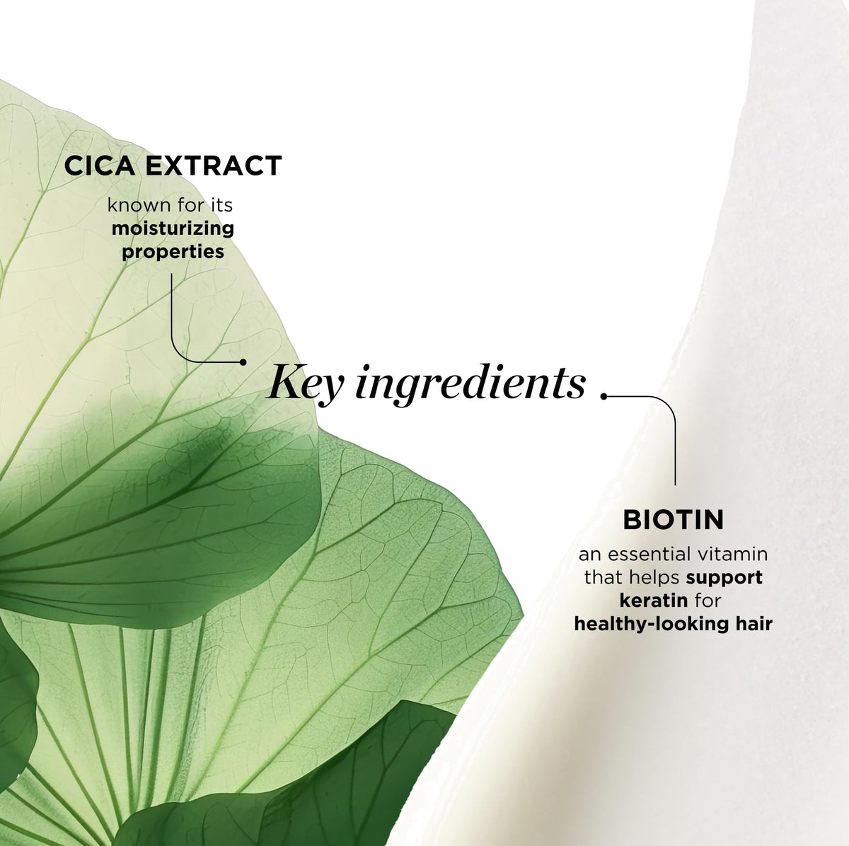 Dr. Groot biotin and centella ingredient display showing moisturizing benefit