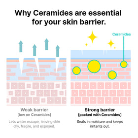 Dr.Jart+ ingredient graphic showing ceramides, emphasizes barrier support