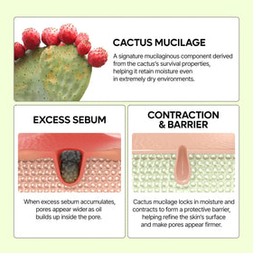Dr.Melaxin 80ml size comparison showing travel-friendly volume