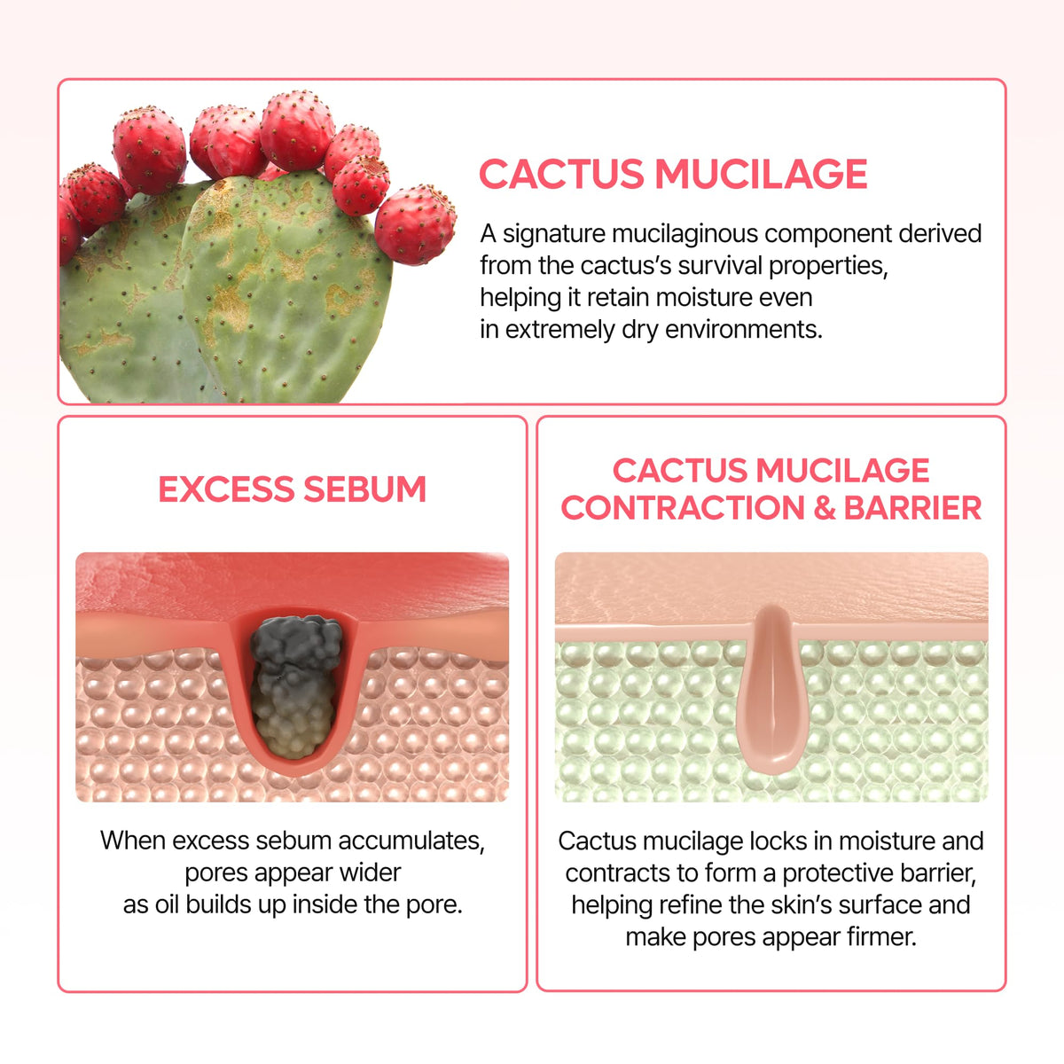 Dr.Melaxin cactus extract ingredient shot emphasizing soothing moisture benefits