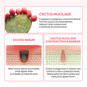 Dr.Melaxin cactus extract ingredient shot emphasizing soothing moisture benefits
