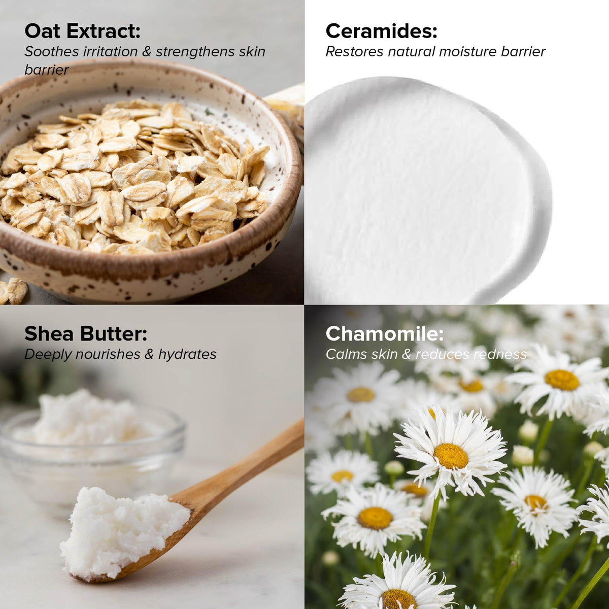 DRMTLGY ingredients layout with hyaluronic, peptides and ceramides benefits