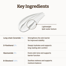 Dr.Reju-All bottle placed with other skincare indicating routine compatibility