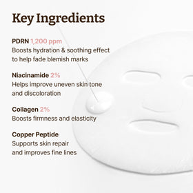 Dr.Reju-All mask beside a hand to show size and practical scale