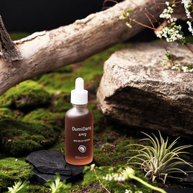 DumiDang kelp ingredient visual, displays kelp extract and nourishing mineral benefit