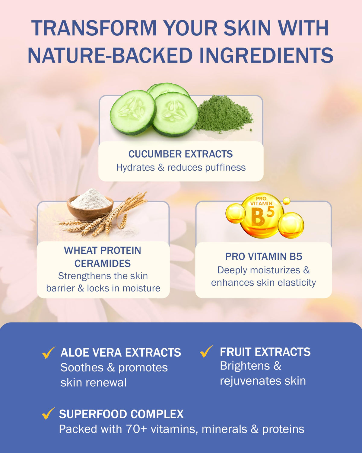 e70 aloe and chamomile ingredients display highlighting soothing properties