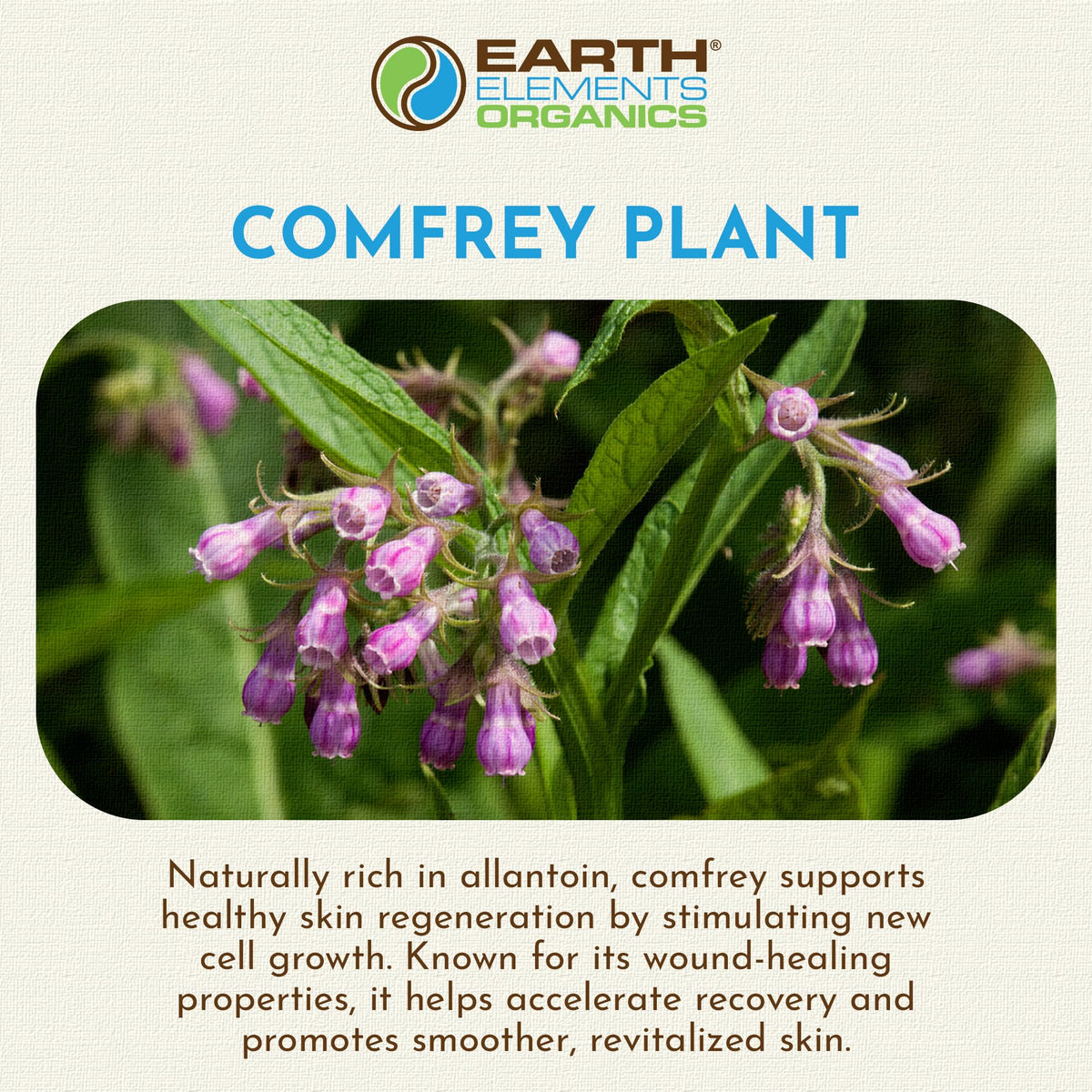 Earth Elements Organics oil poured into hands demonstrating smooth glide benefit for massage