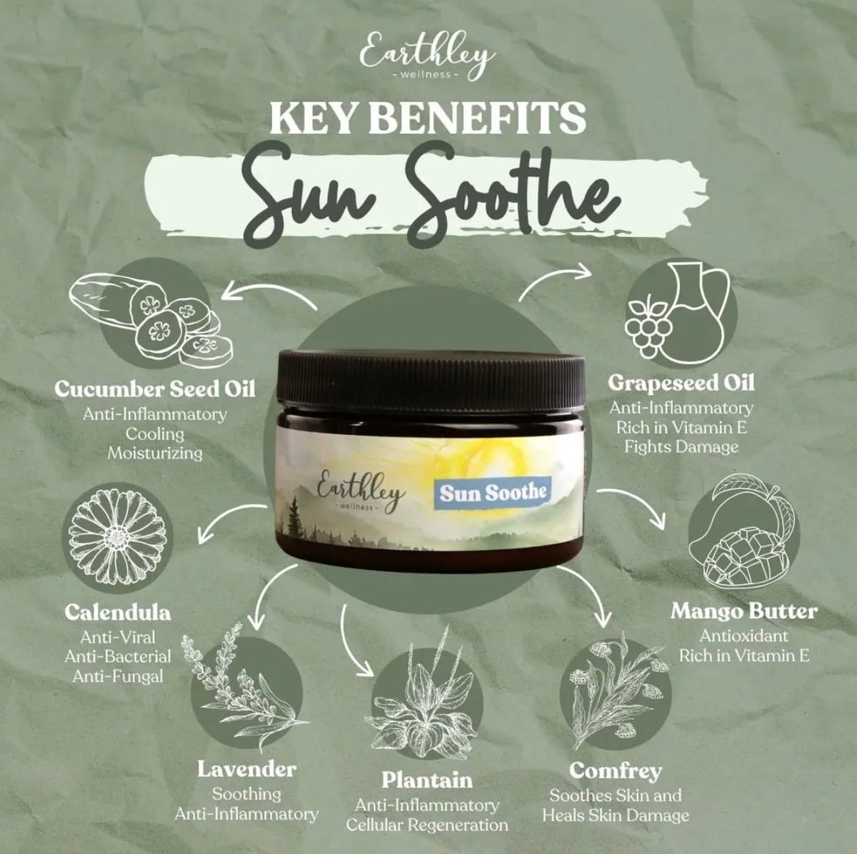 Earthley Wellness creamy lotion texture close-up highlighting smooth absorption and moisturizing benefit