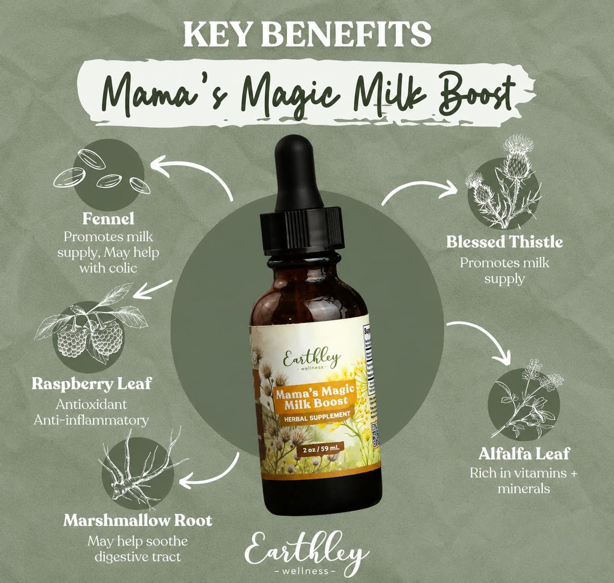 Earthley Wellness tincture pouring into a spoon for simple daily use