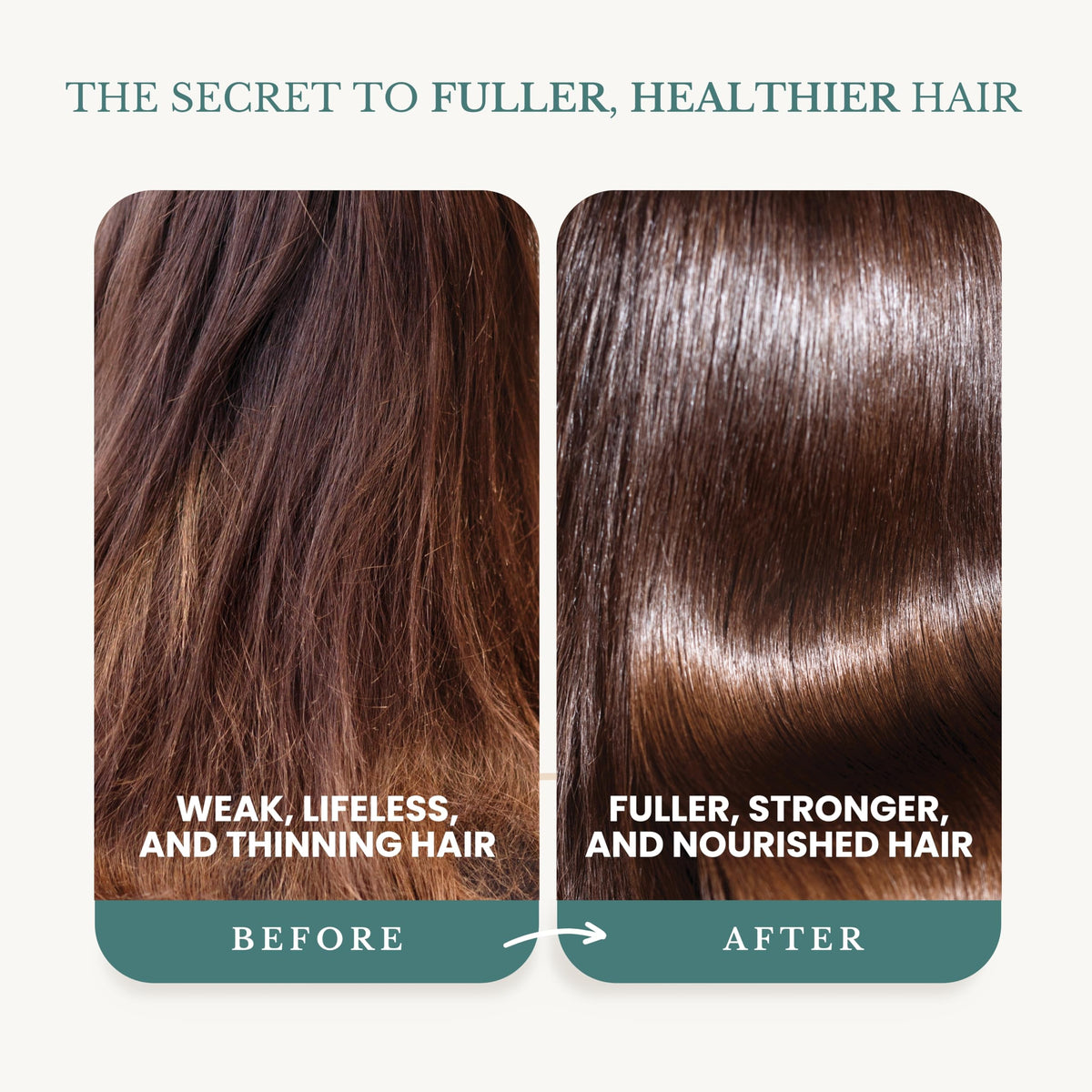 Edenika Botanicals botanical ingredients highlighting natural nourishment