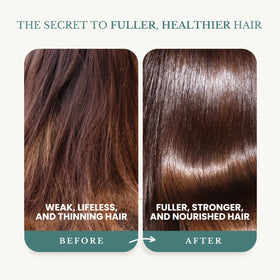 Edenika Botanicals botanical ingredients highlighting natural nourishment
