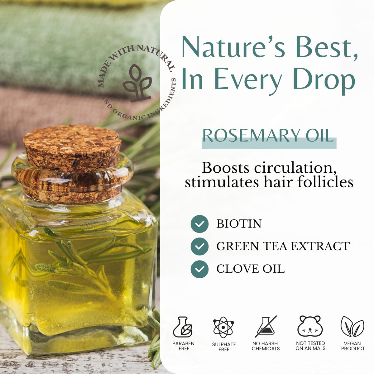 Edenika Botanicals spirulina and rosemary ingredient display for nutrient boost
