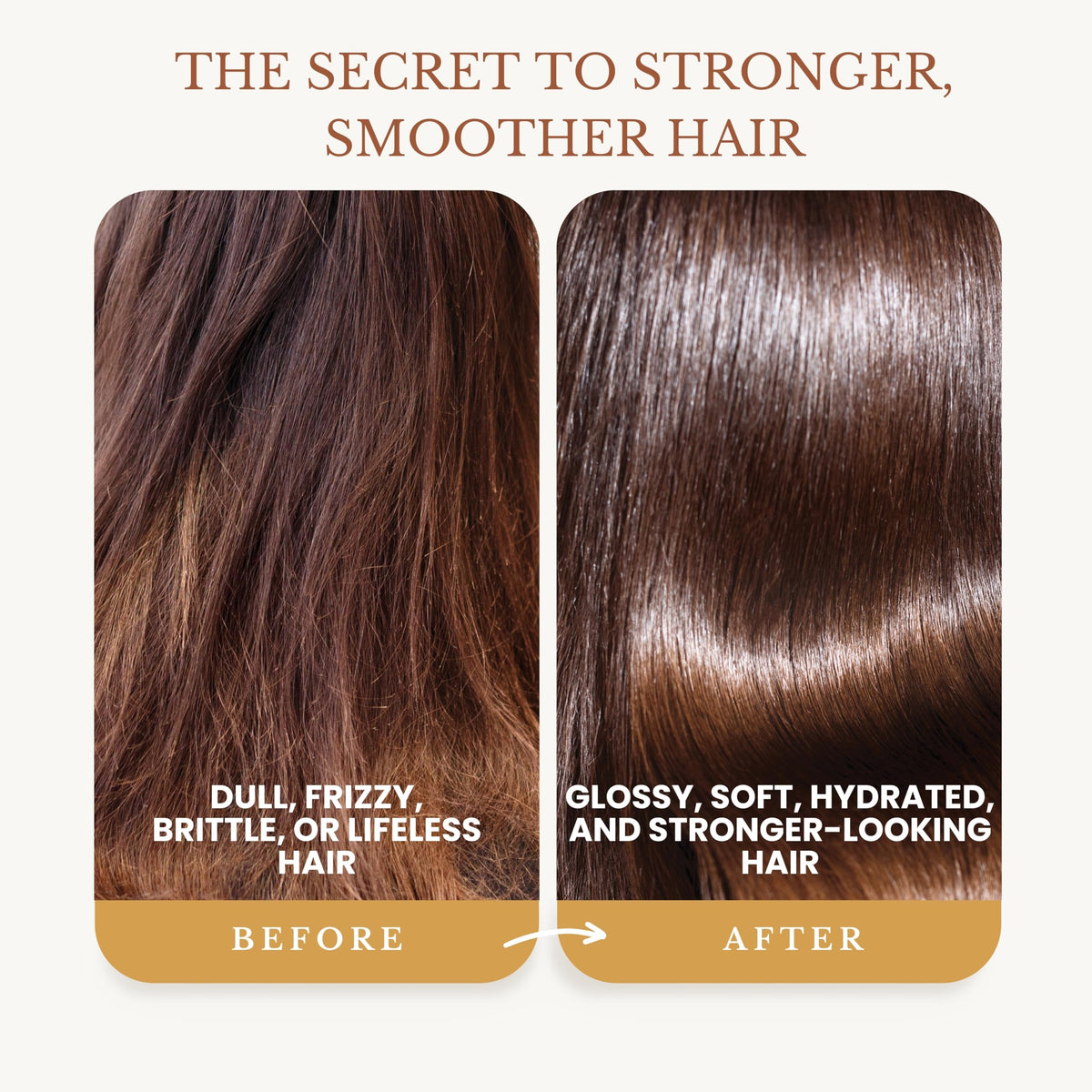 Edenika Botanicals shampoo lather texture on palm showing gentle foaming without sulfates