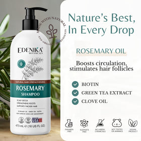 Edenika Botanicals 16 fl oz bottle in hand indicating true size