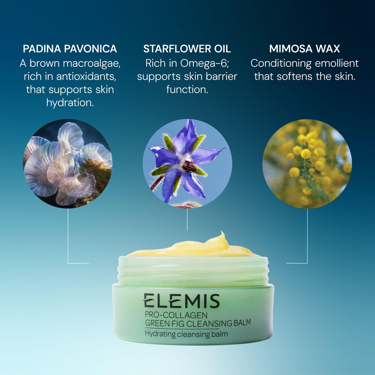 ELEMIS Green Fig ingredients display with fig and bergamot suggesting fresh aromatic benefit