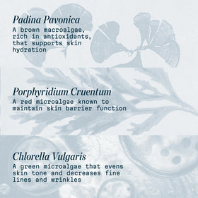 ELEMIS marine algae ingredient display highlighting hydrating benefits
