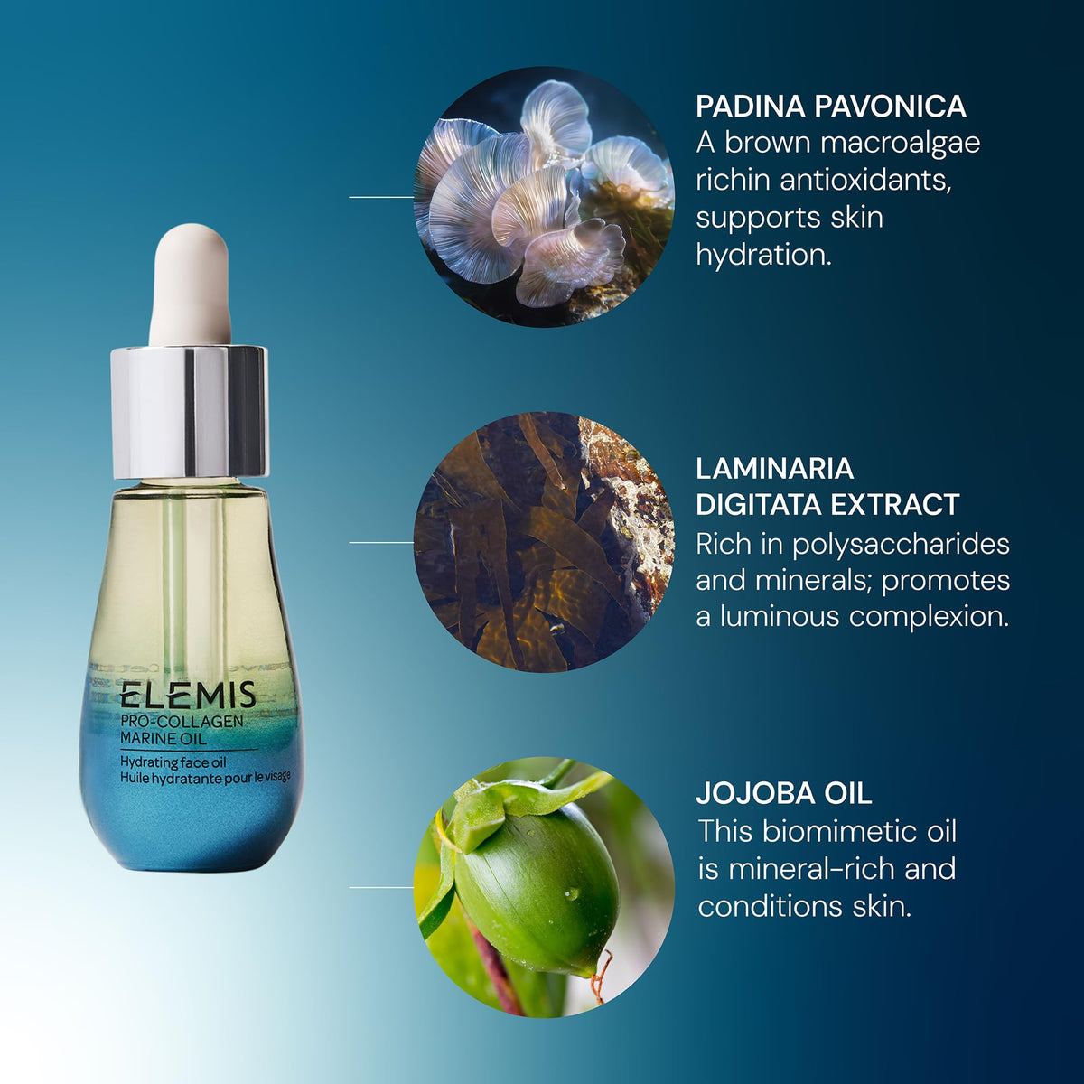 ELEMIS label detail showing ingredient focus on seaweed trio for nourishment