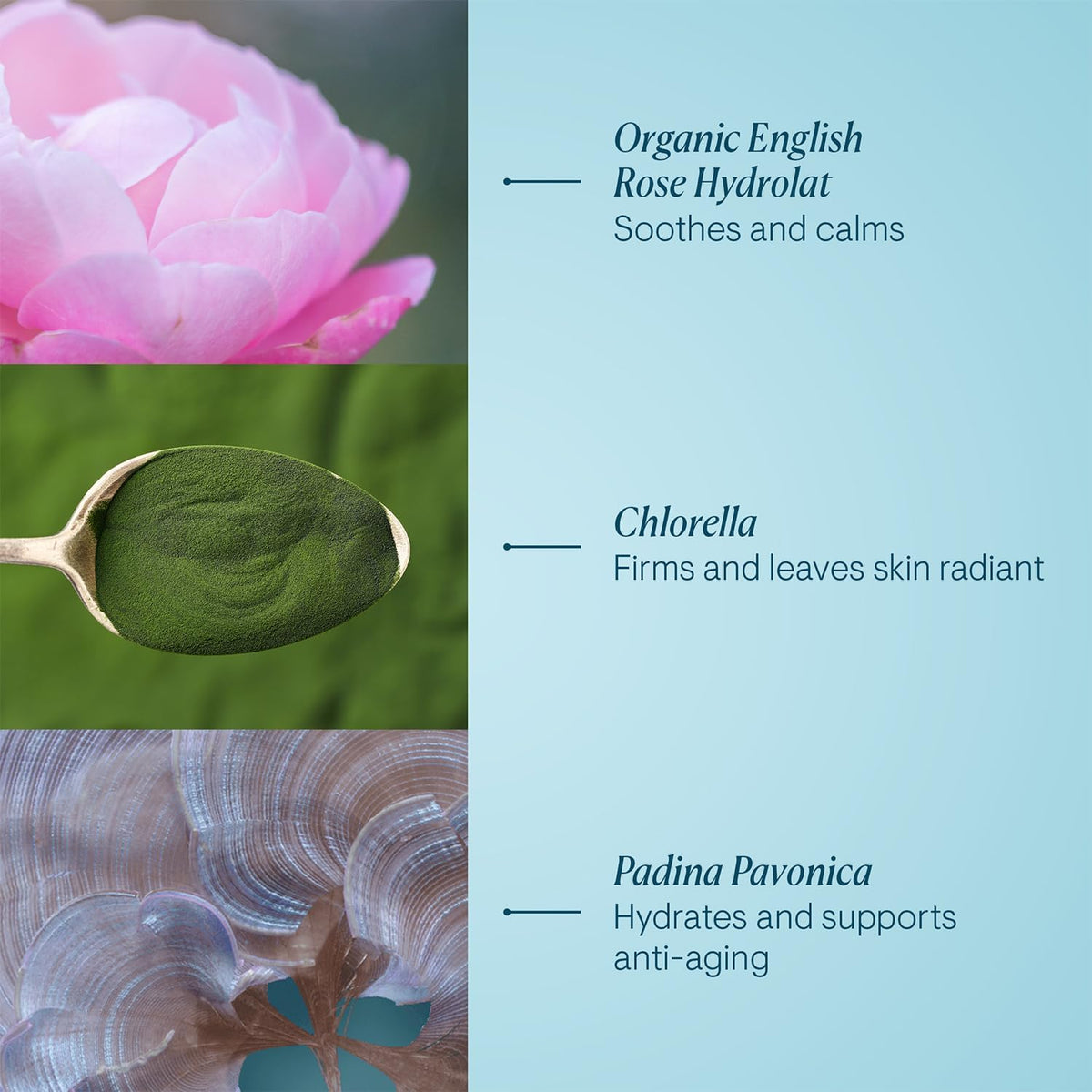 ELEMIS label close-up showing Padina Pavonica and chlorella for firmness