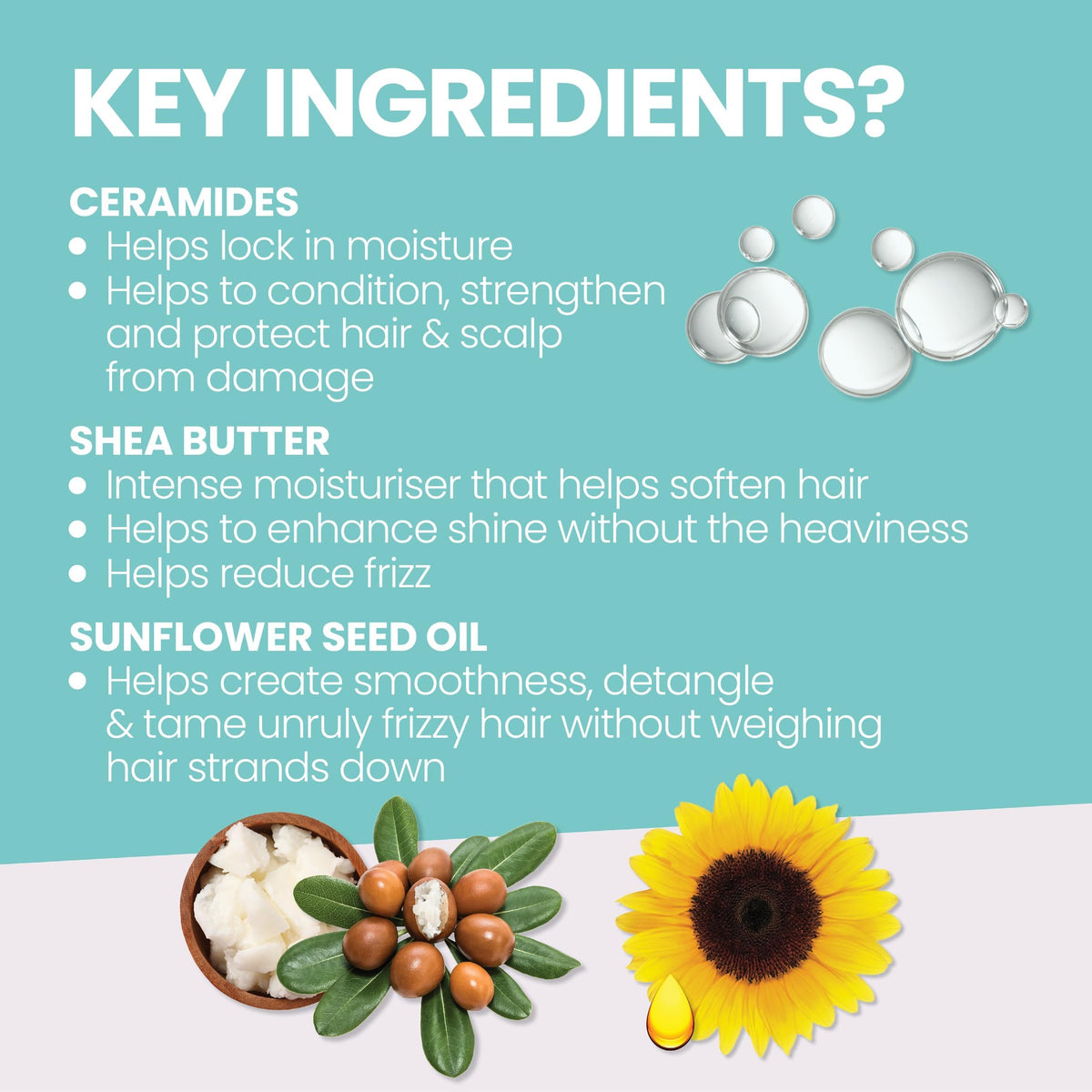 ELEVEN AUSTRALIA back label close-up showing ingredients and usage directions for clarity