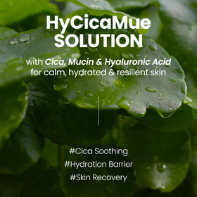 elravie cica leaf ingredient shot signaling soothing and calming benefit