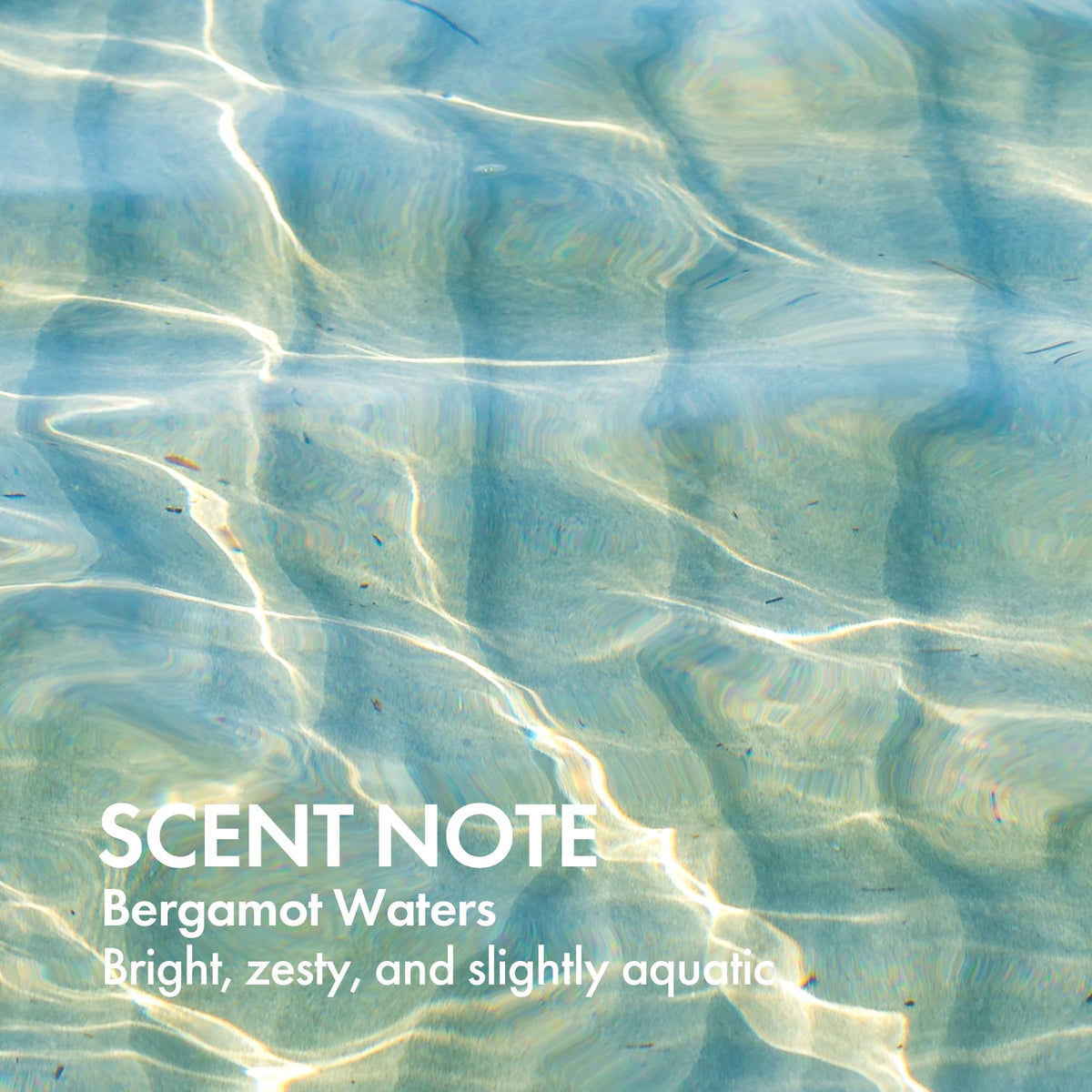 Enjoy foam texture close-up showing gentle lather and lightweight hydration