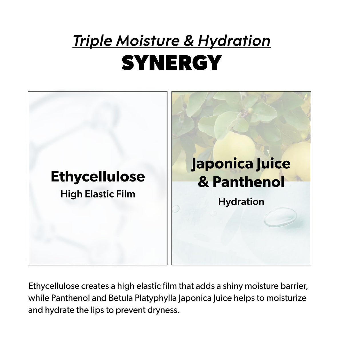 ENTROPY MAKE UP label close-up highlighting ingredients and directions
