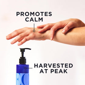 EO bottle pump close-up highlighting dispensing ease and clean product finish