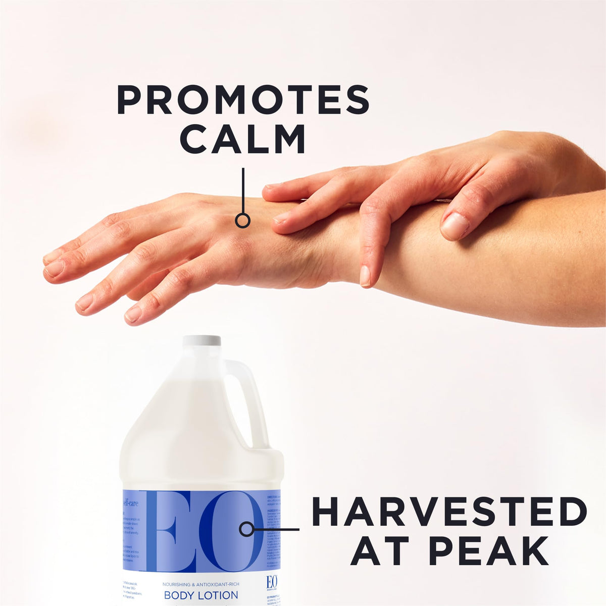 EO pouring refill into dispenser demonstrating easy bulk refill convenience