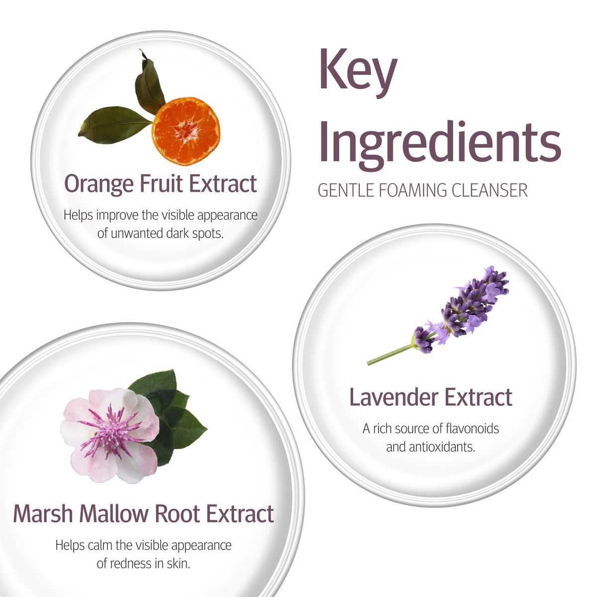 Epionce bottle label detail highlighting ingredients and benefits