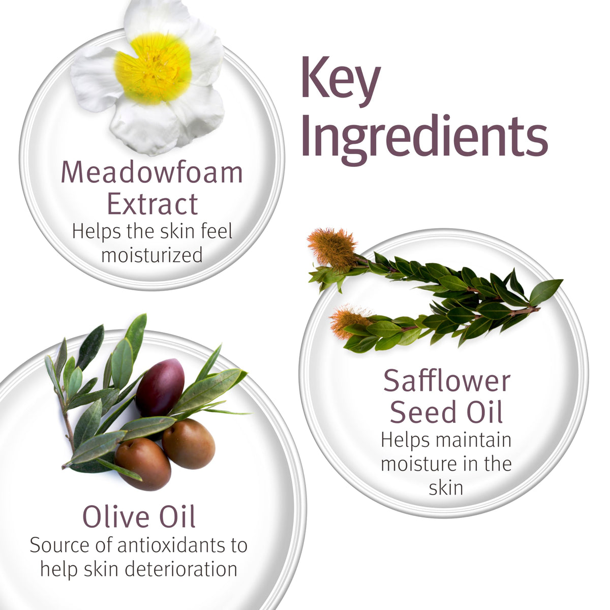 Epionce label close-up showing ingredient clarity and gentle formulation