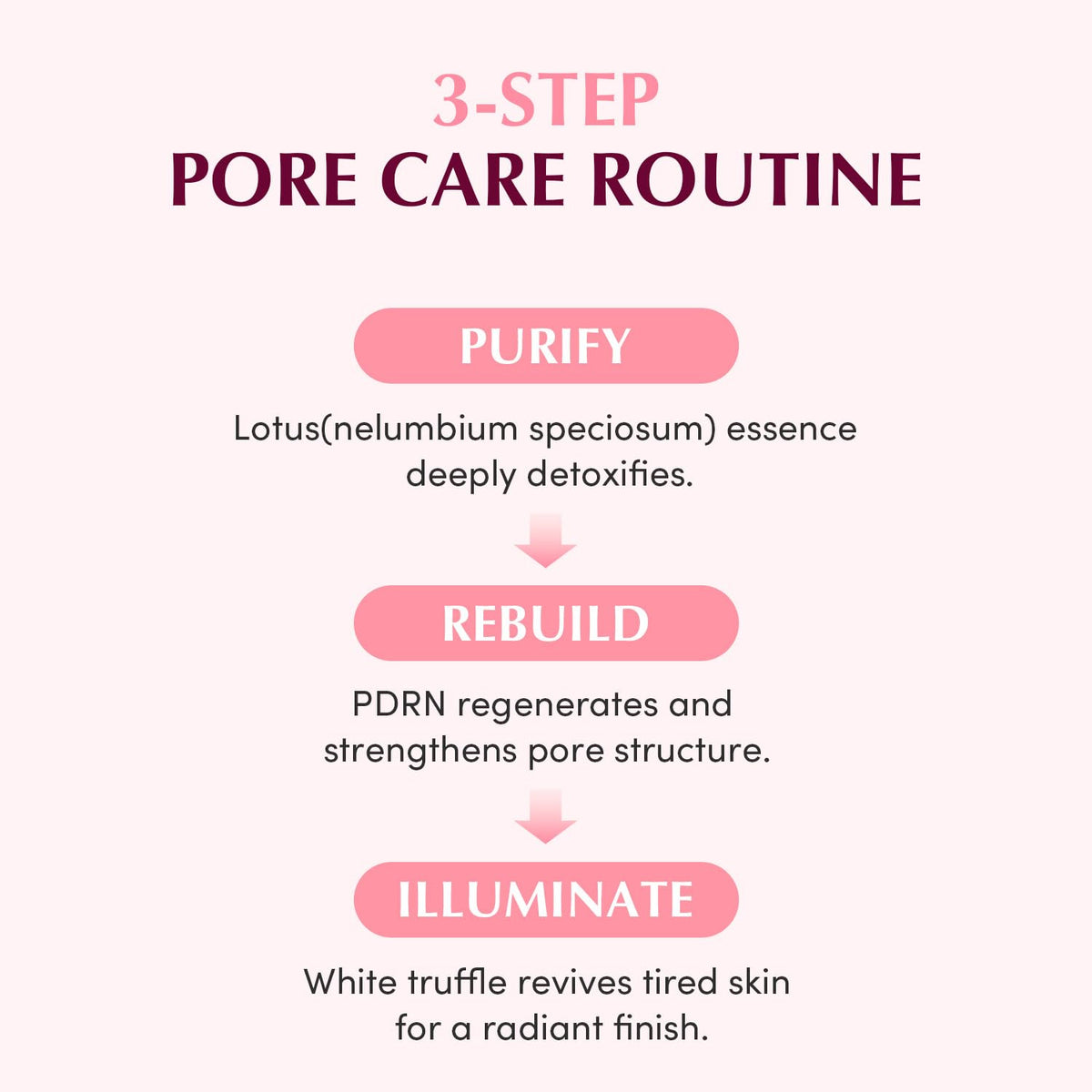 EQQUALBERRY lotus ingredient display representing PDRN pore care and gentler impurity removal
