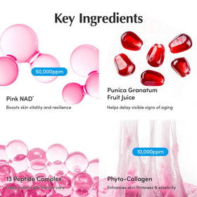 EQQUALBERRY ingredients label close-up showing liposomal NAD+ and peptide list for efficacy