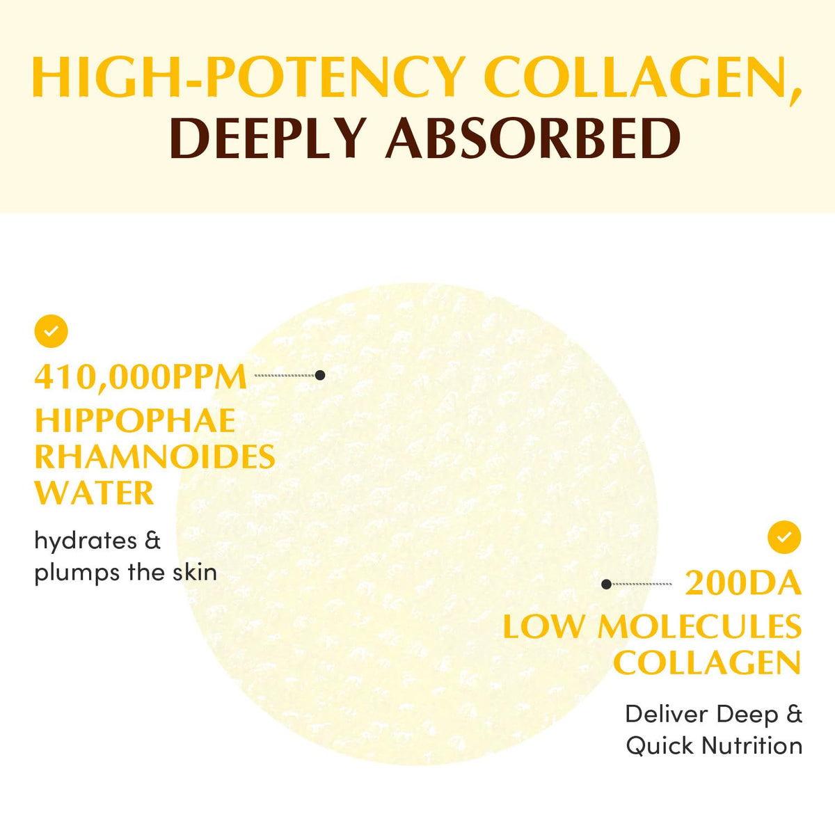 EQQUALBERRY pads displayed beside sea buckthorn berries highlighting vitamin base benefits
