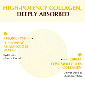 EQQUALBERRY pads displayed beside sea buckthorn berries highlighting vitamin base benefits